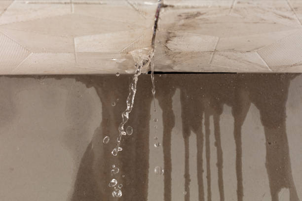 Professional Structural Drying technician working in Lena, WI